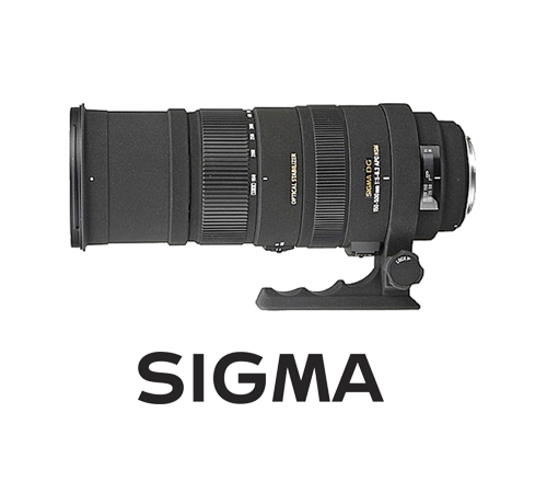 Sigma 150-500 mm Lens